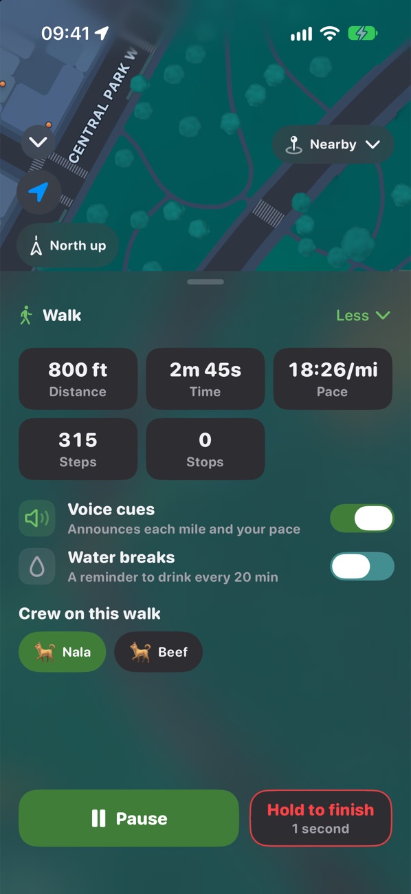 walk More panel, Crew on this walk